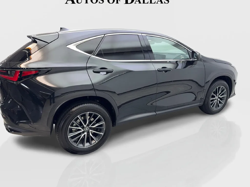 Lexus NX photo 15