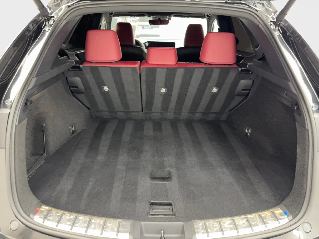 Lexus NX photo 77