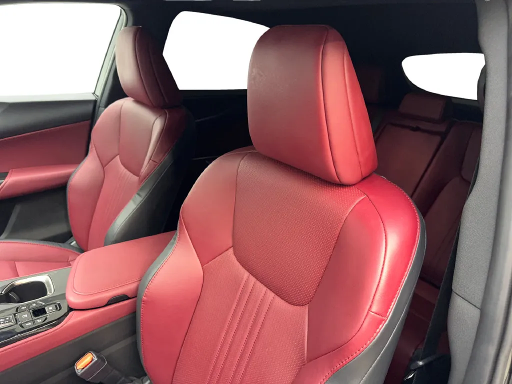 Lexus NX photo 28