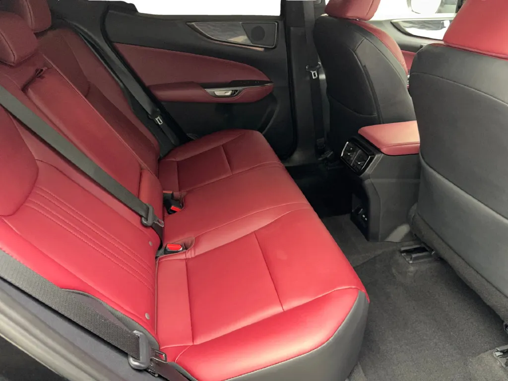 Lexus NX photo 40