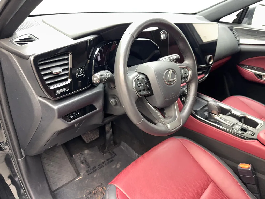 Lexus NX photo 51