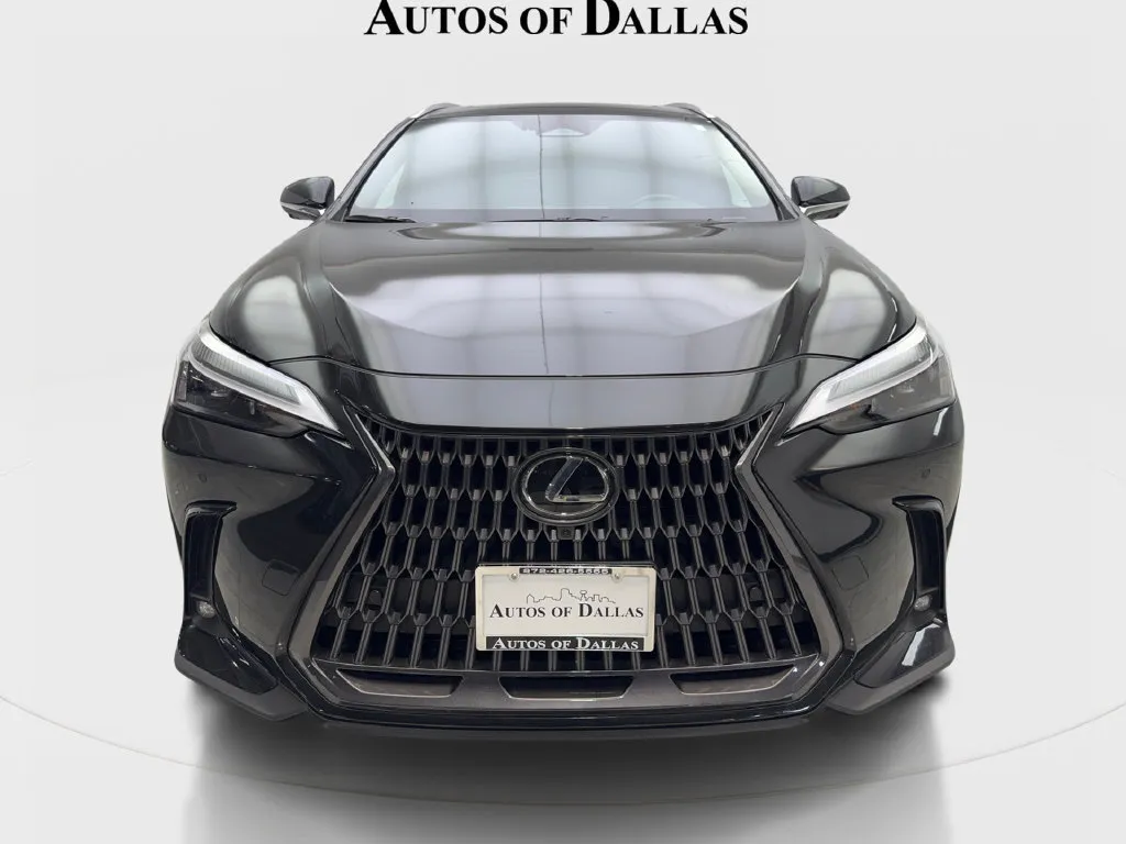 Lexus NX photo 4