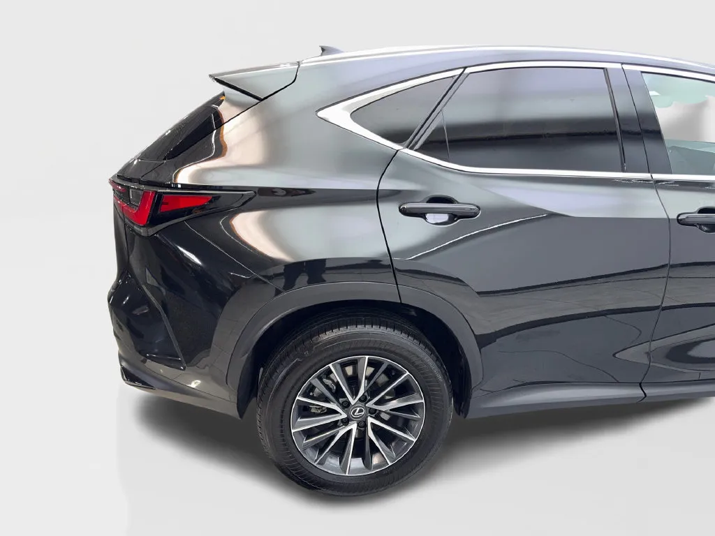Lexus NX photo 18