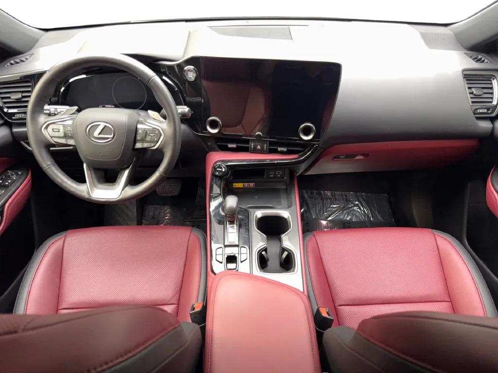 Lexus NX photo 52