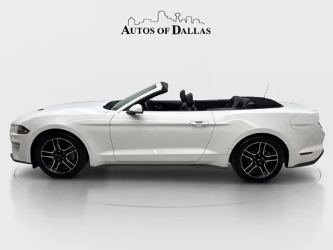 More photos of 2023 Ford Mustang EcoBoost Premium at Autos of Dallas - Irving, TX