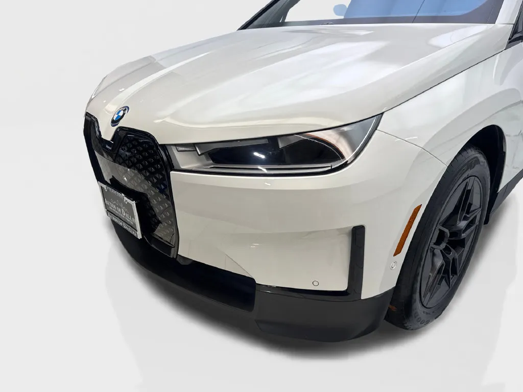 BMW iX photo 18