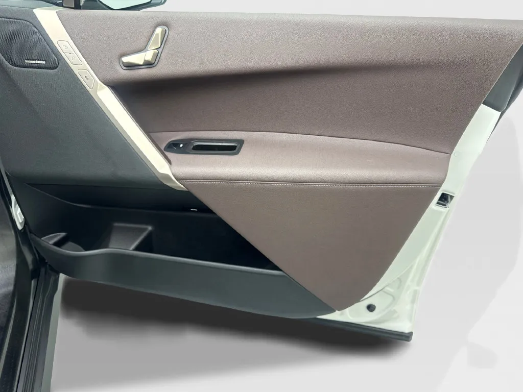 BMW iX photo 49