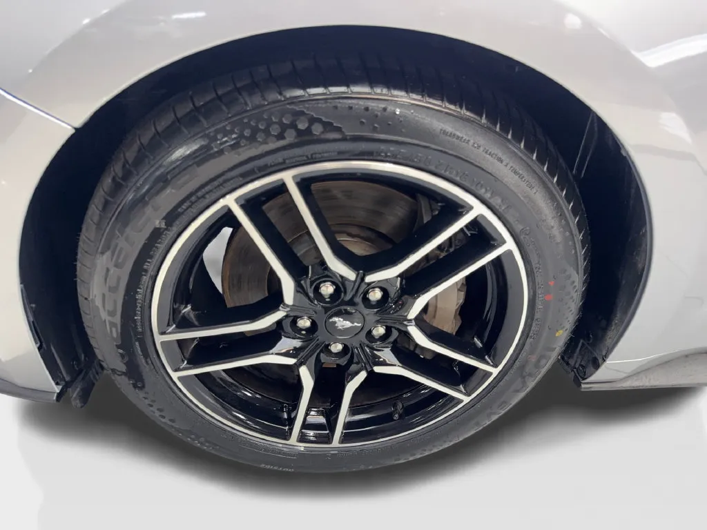Ford Mustang photo 86
