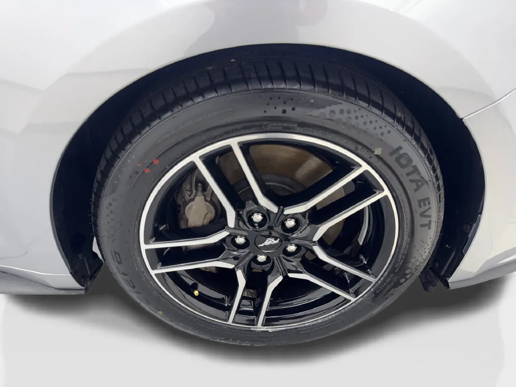 Ford Mustang photo 83