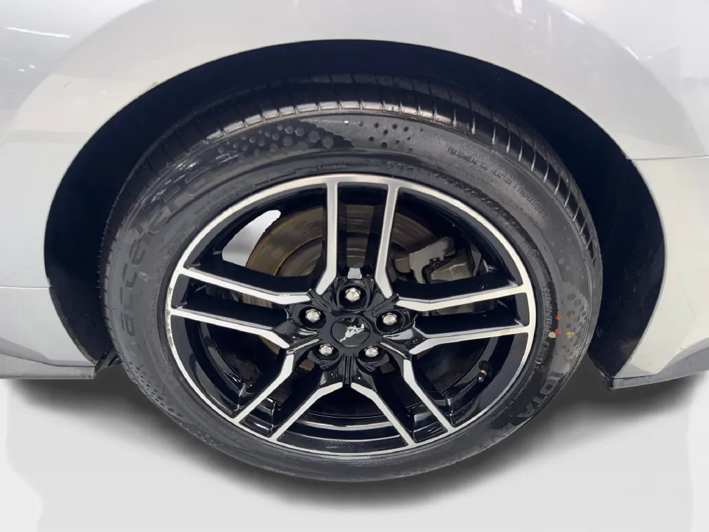 Ford Mustang photo 85