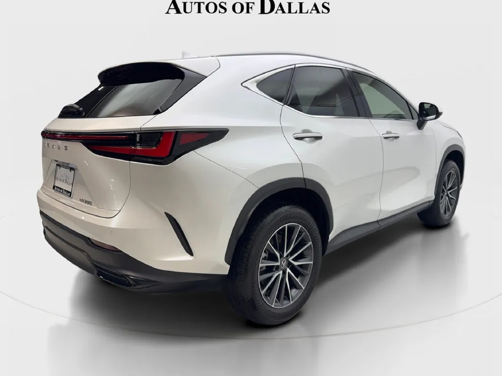 Lexus NX photo 7