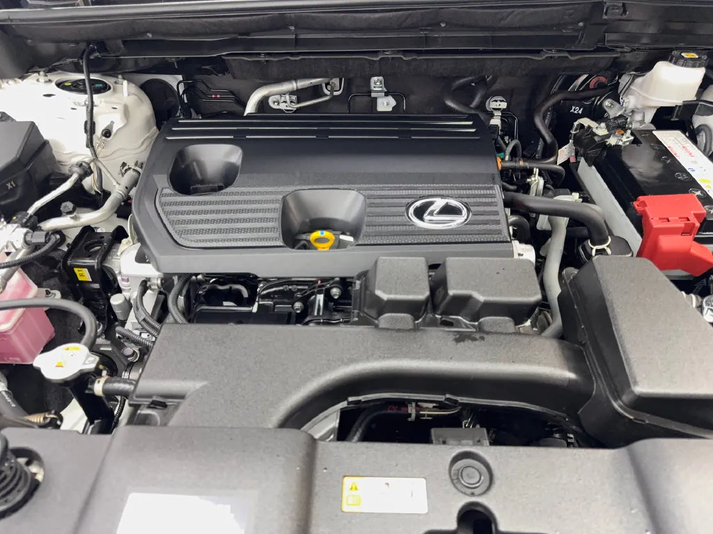 Lexus NX photo 78
