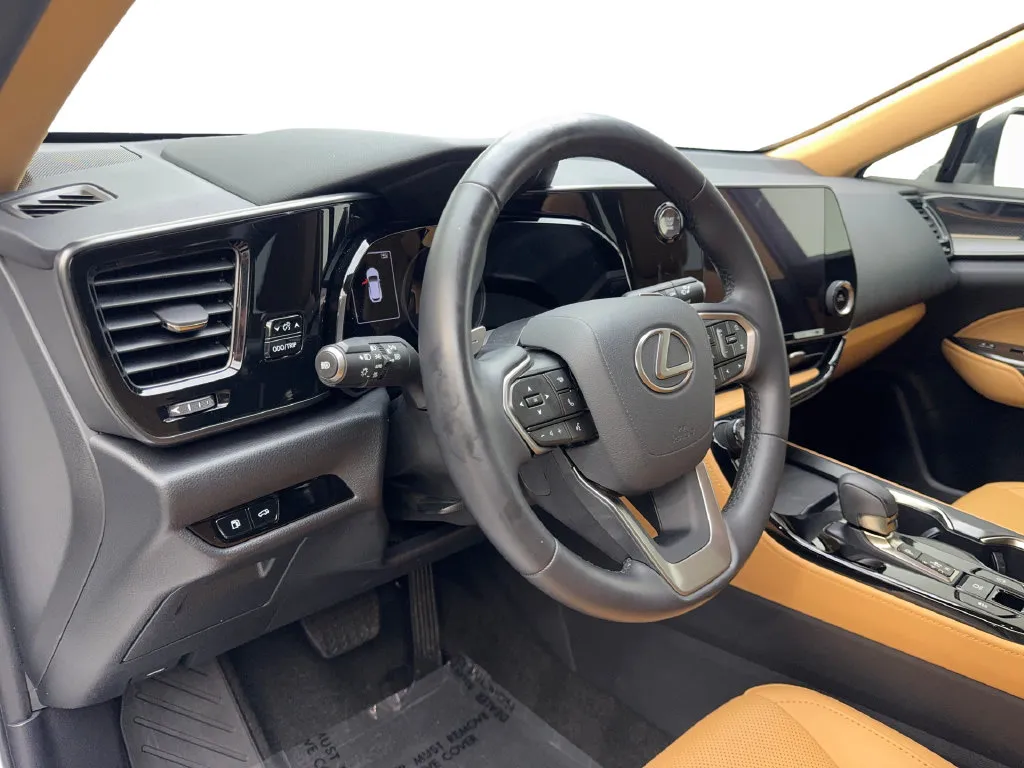 Lexus NX photo 52