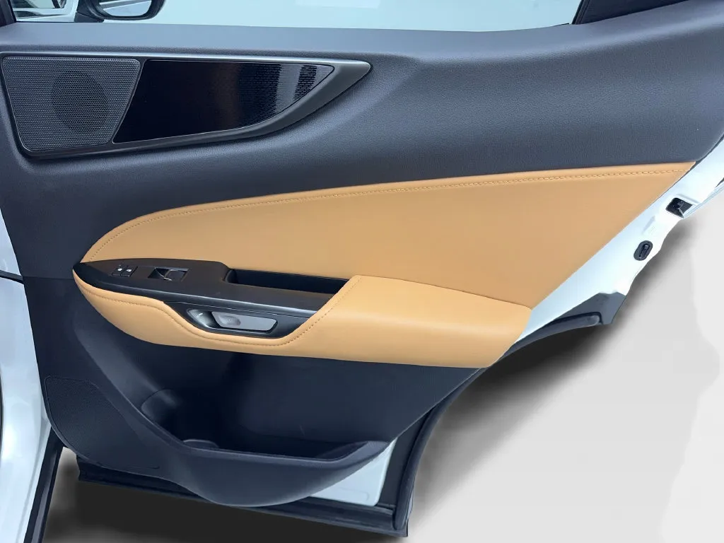 Lexus NX photo 44