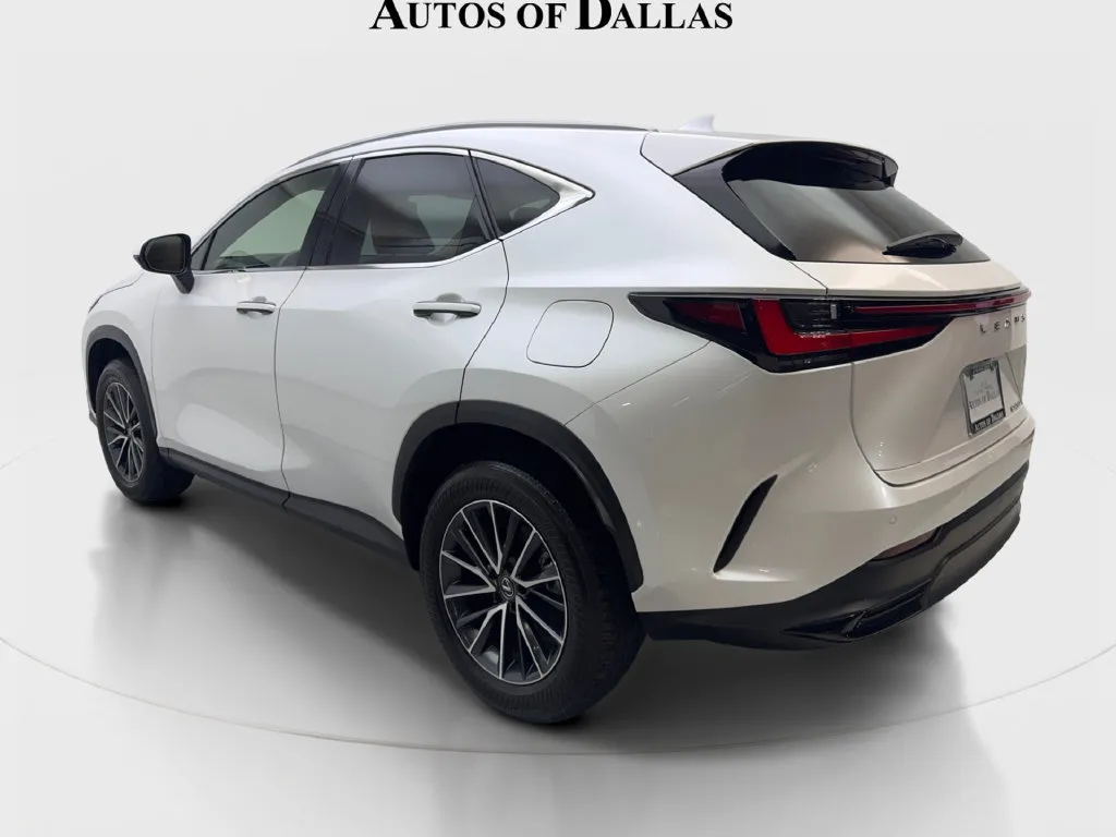 Lexus NX photo 10