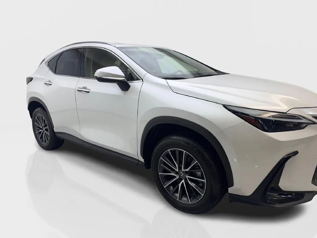Lexus NX photo 14