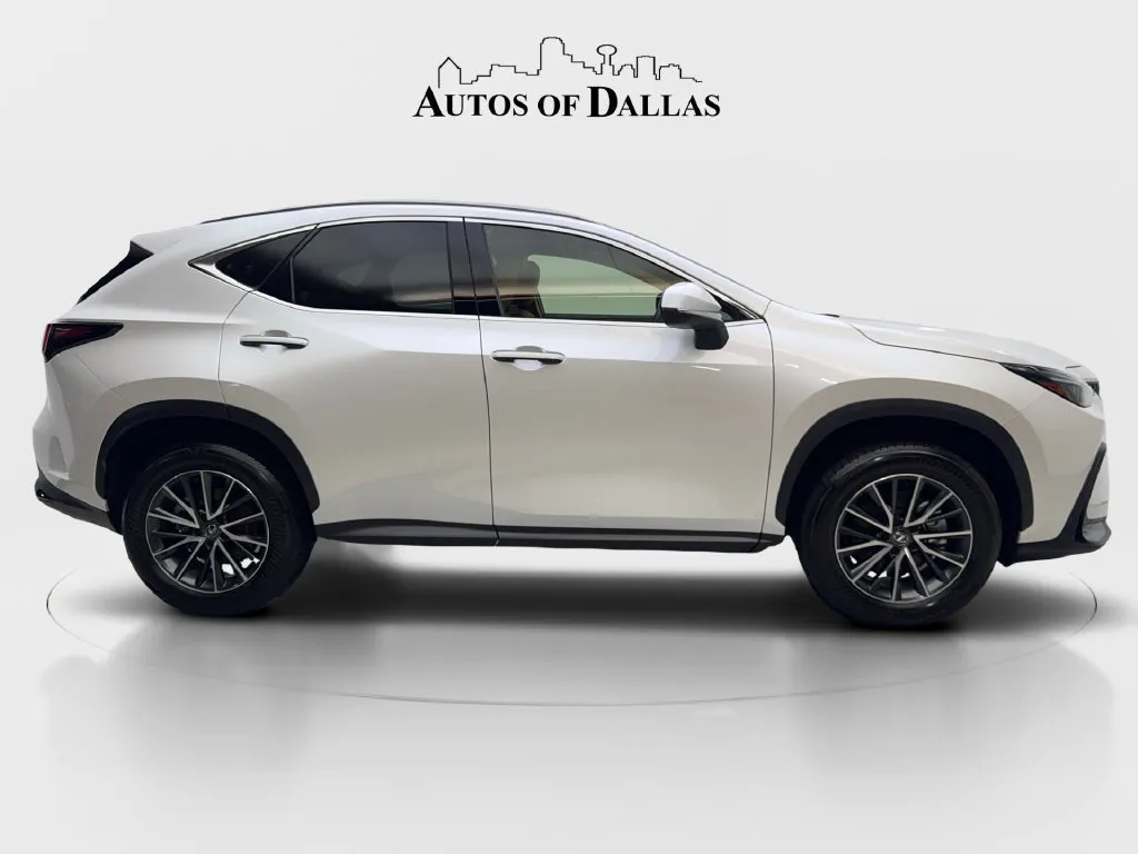 Lexus NX photo 11