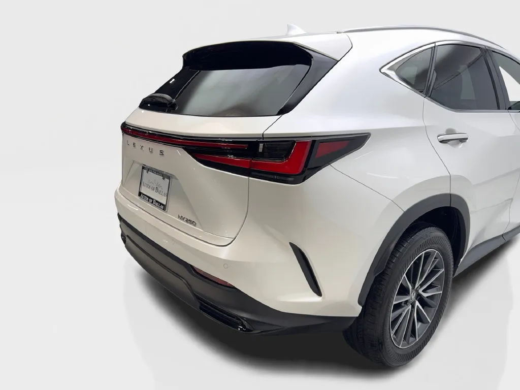 Lexus NX photo 20