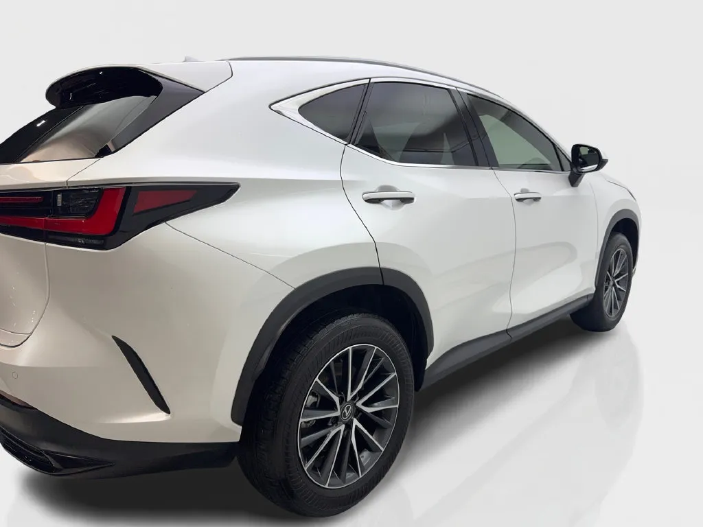 Lexus NX photo 15