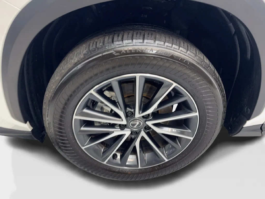 Lexus NX photo 89