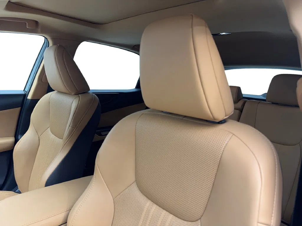 Lexus NX photo 29