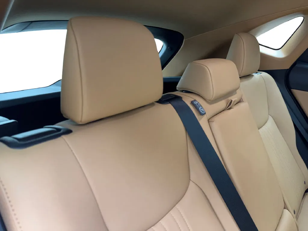 Lexus NX photo 42