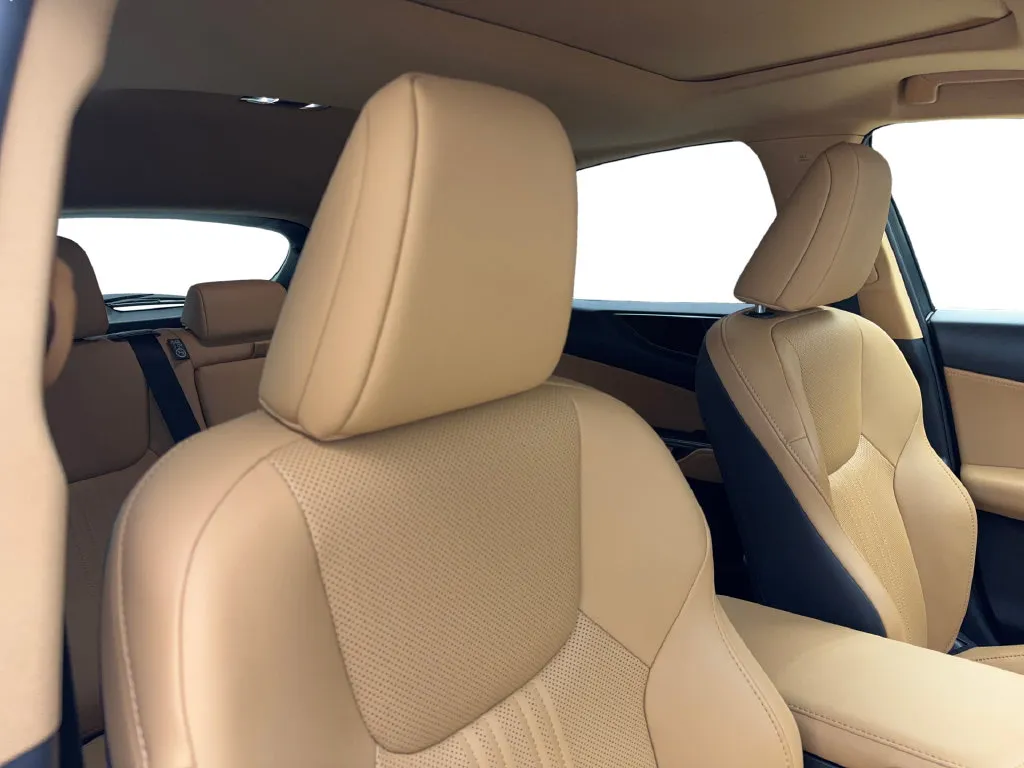 Lexus NX photo 47