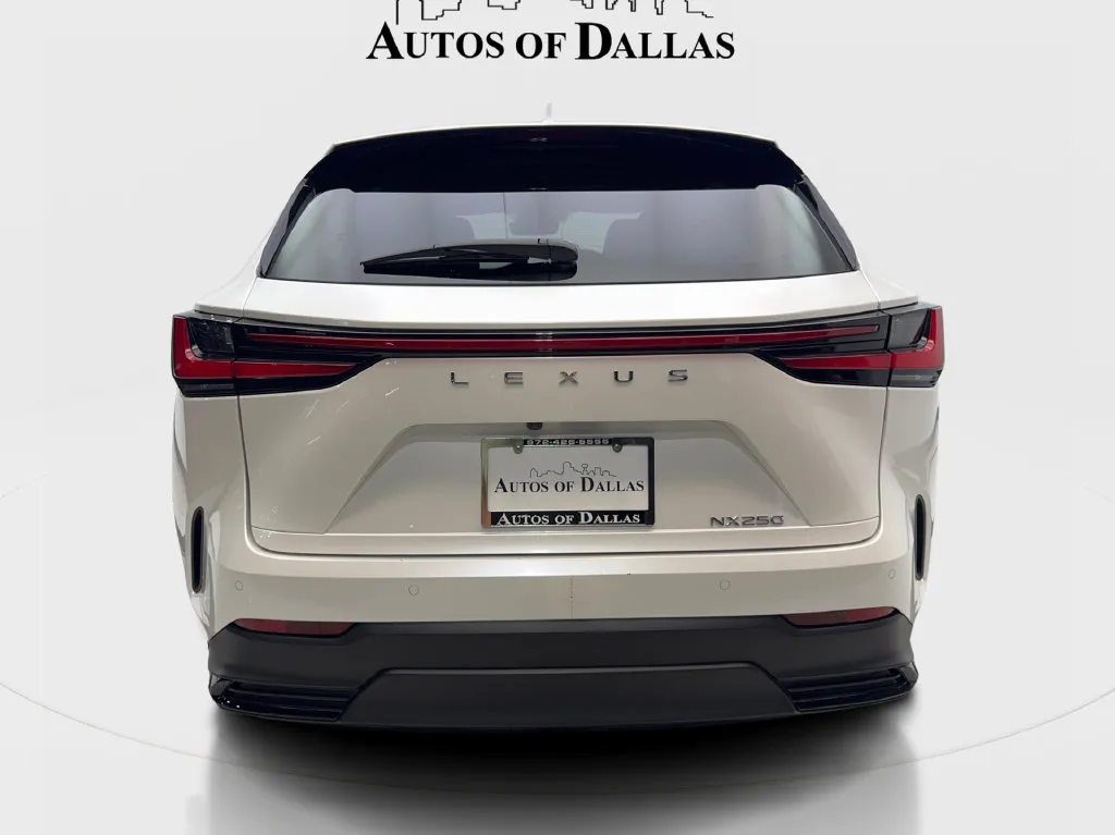 Lexus NX photo 8