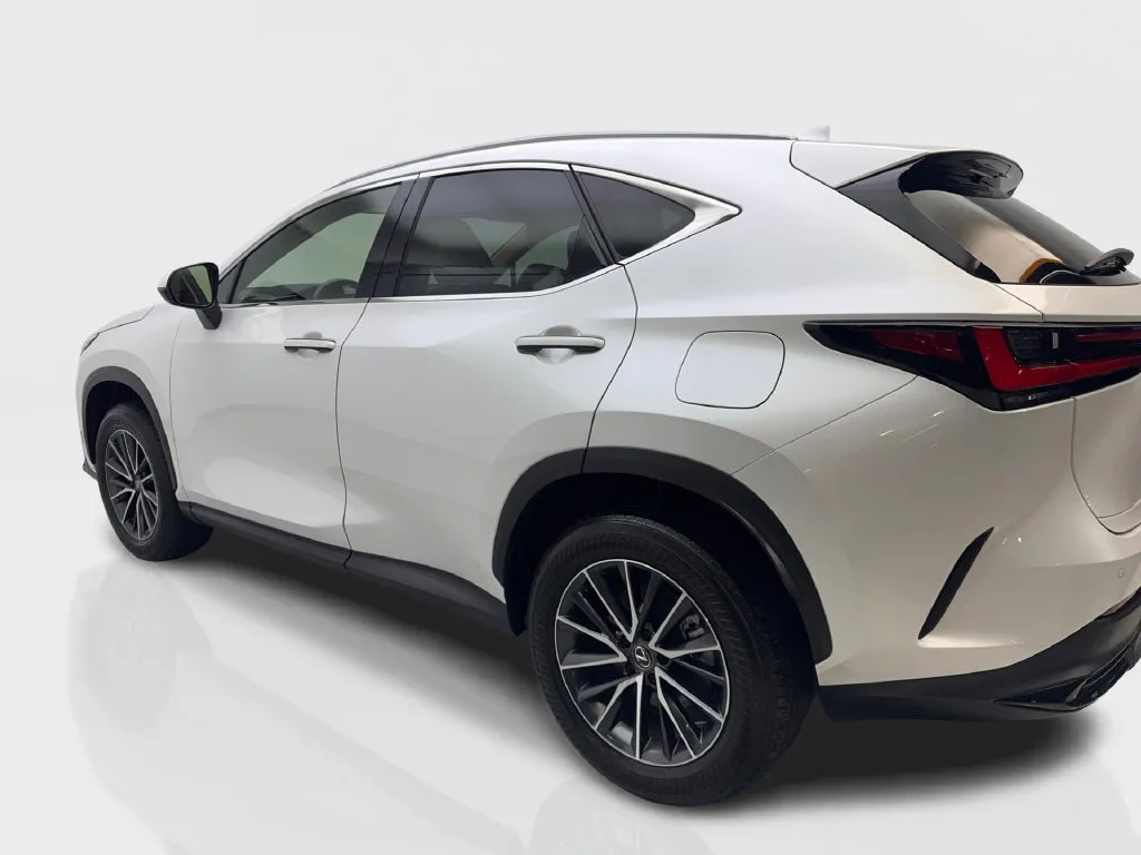 Lexus NX photo 16