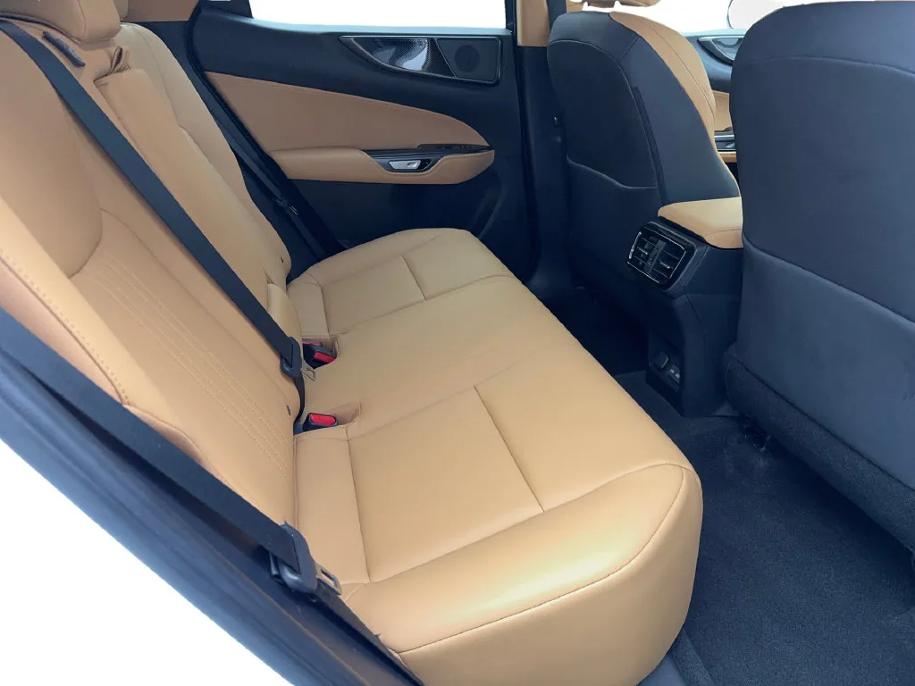 Lexus NX photo 41