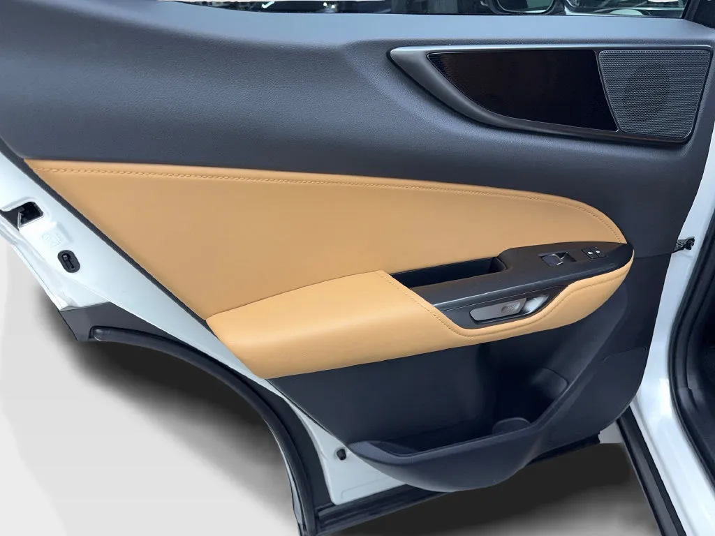 Lexus NX photo 39