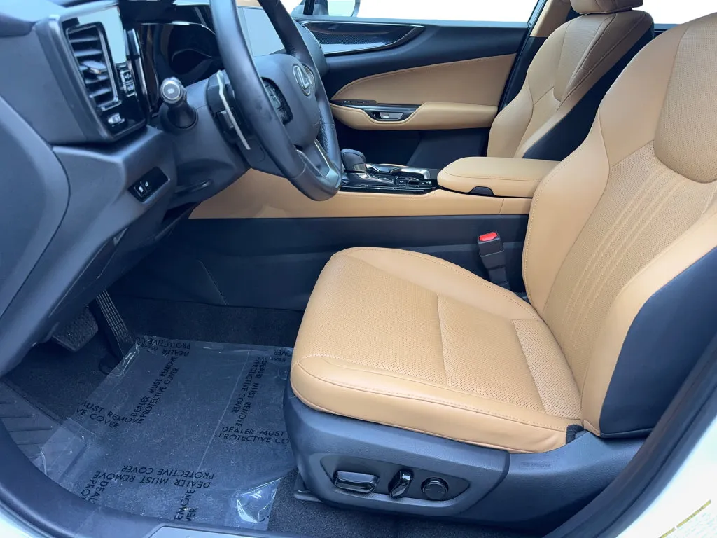 Lexus NX photo 28