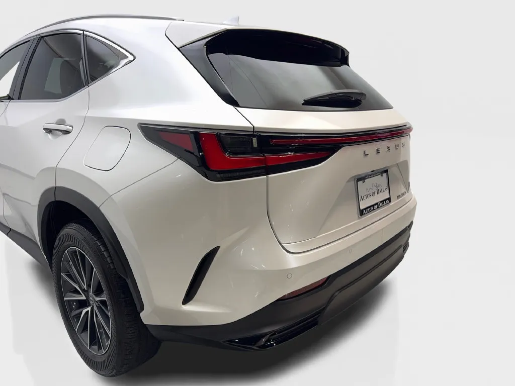 Lexus NX photo 21