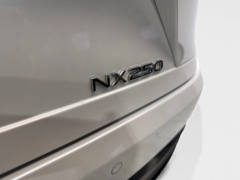 Lexus NX photo 25