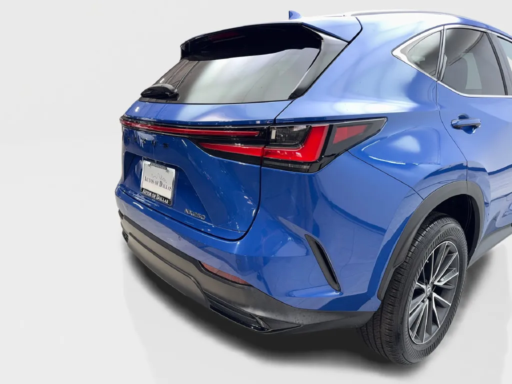 Lexus NX photo 20
