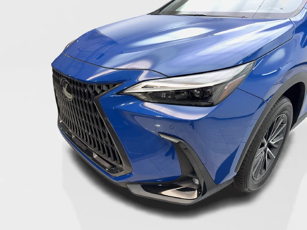 Lexus NX photo 18
