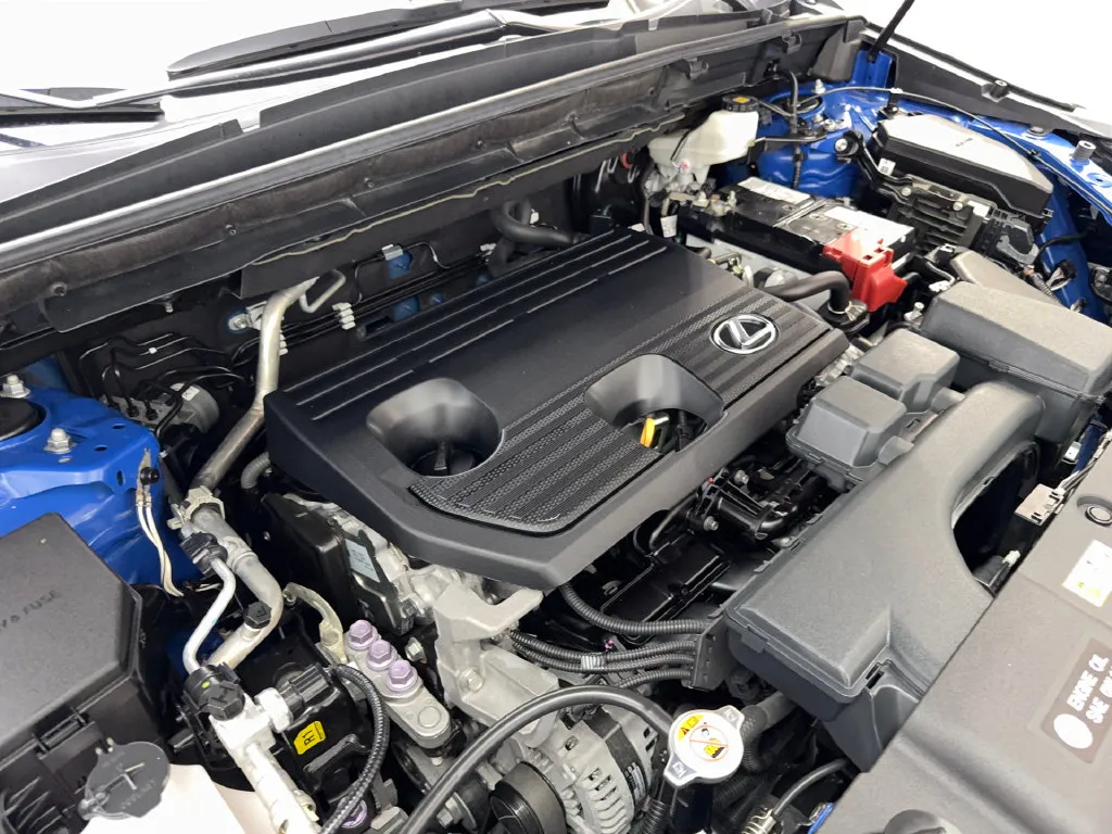 Lexus NX photo 78