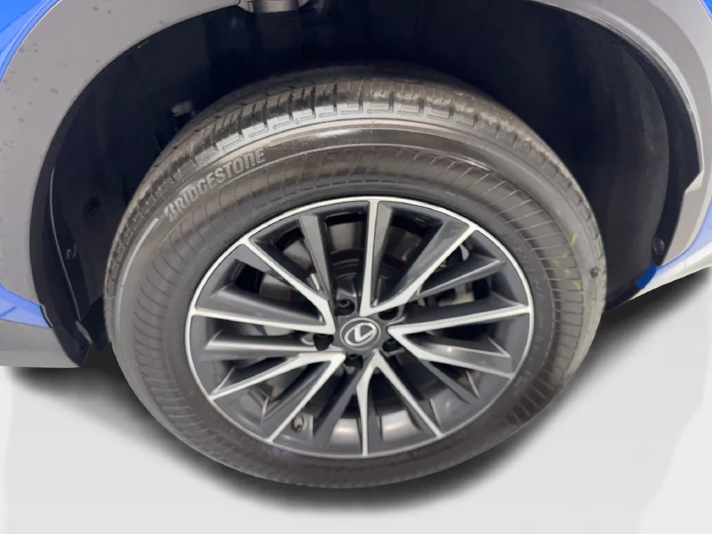 Lexus NX photo 87