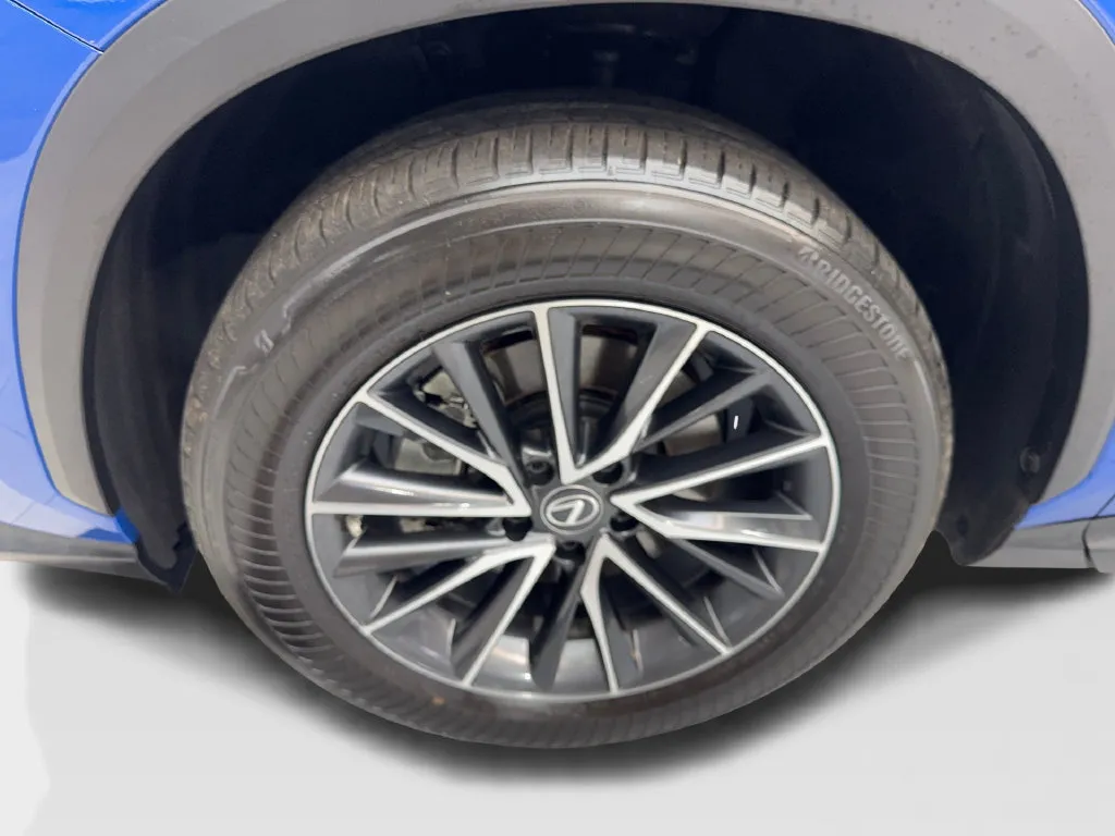 Lexus NX photo 88