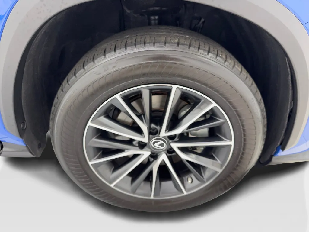 Lexus NX photo 85
