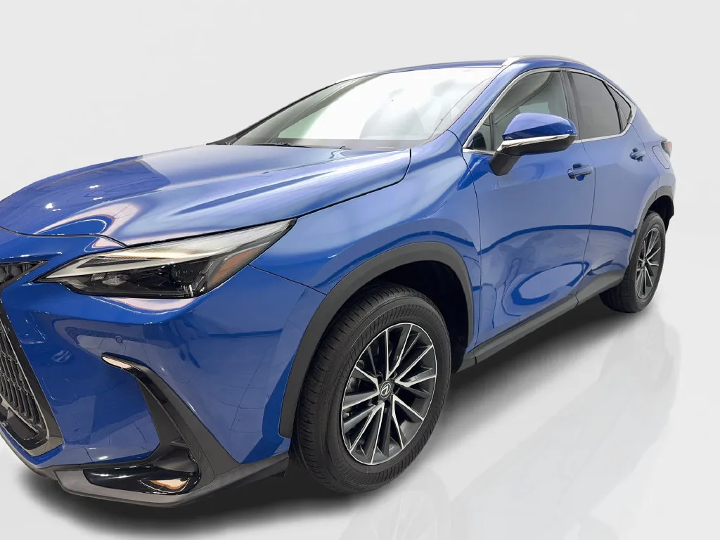 Lexus NX photo 12