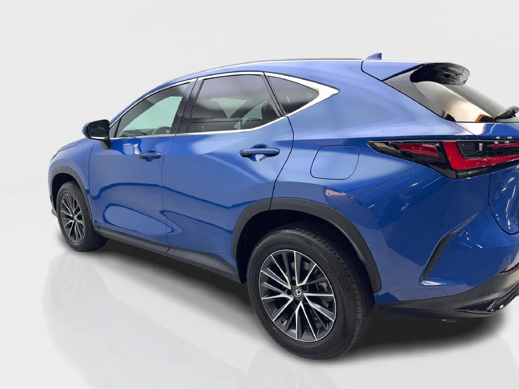Lexus NX photo 16