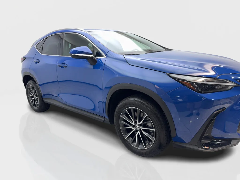 Lexus NX photo 14