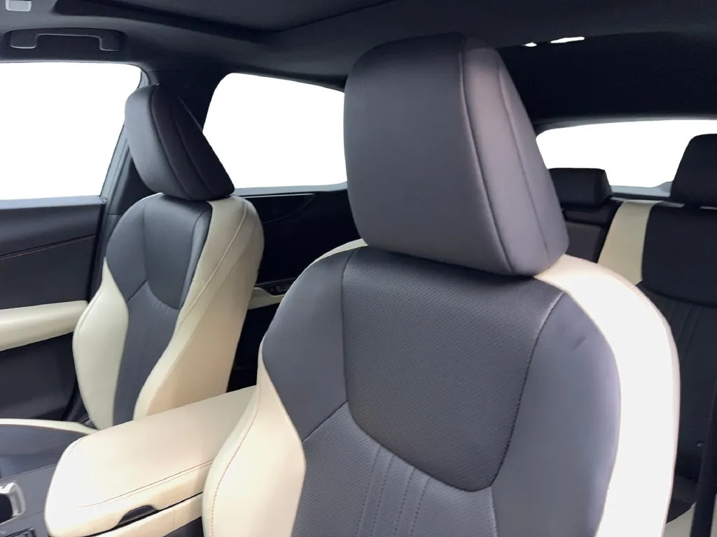 Lexus NX photo 29