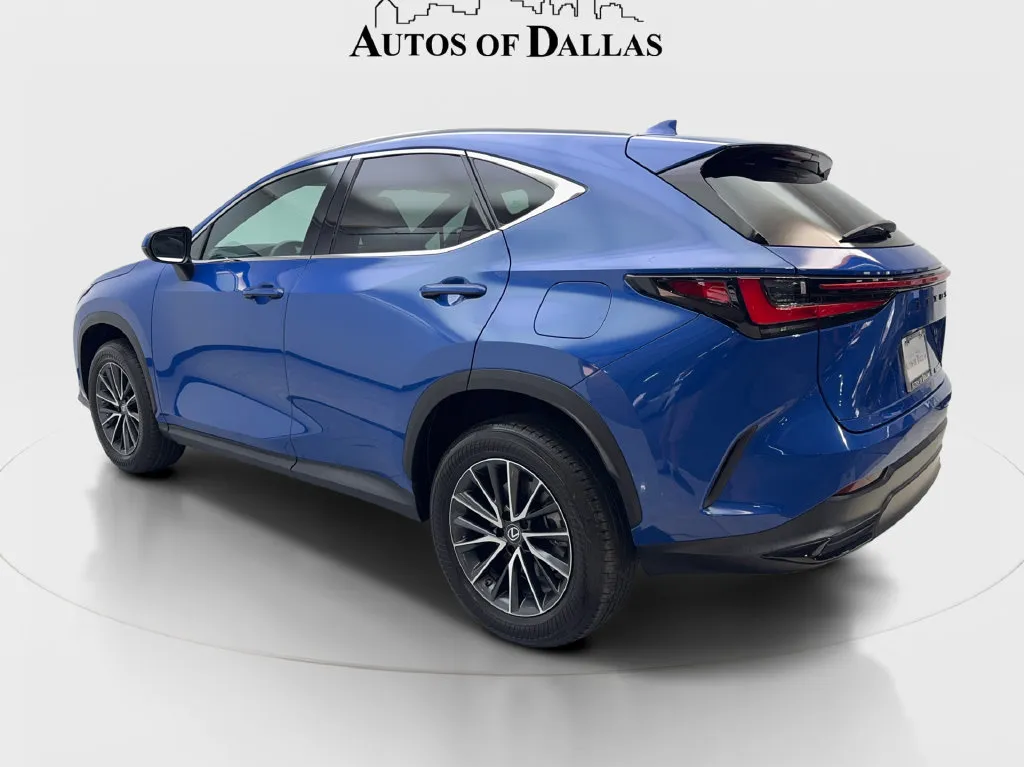 Lexus NX photo 10
