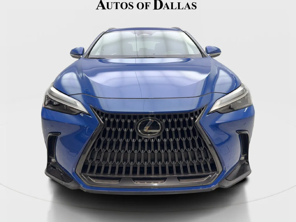 Lexus NX photo 4