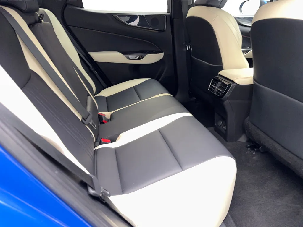 Lexus NX photo 41