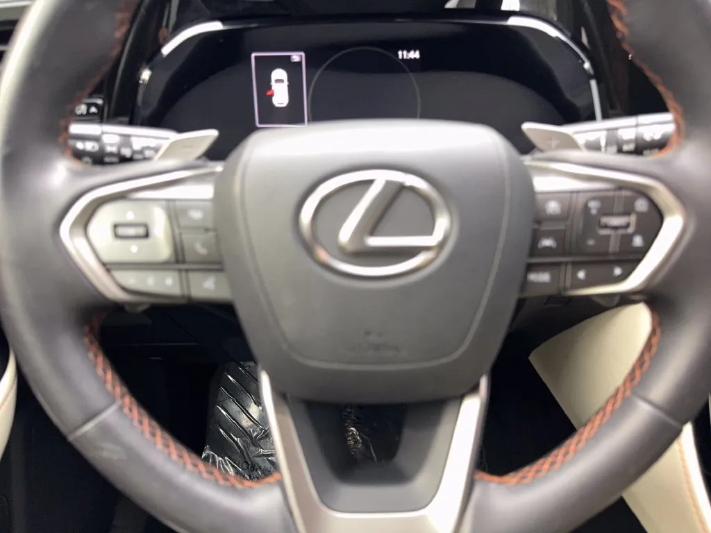 Lexus NX photo 59
