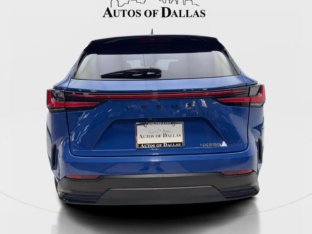 Lexus NX photo 8