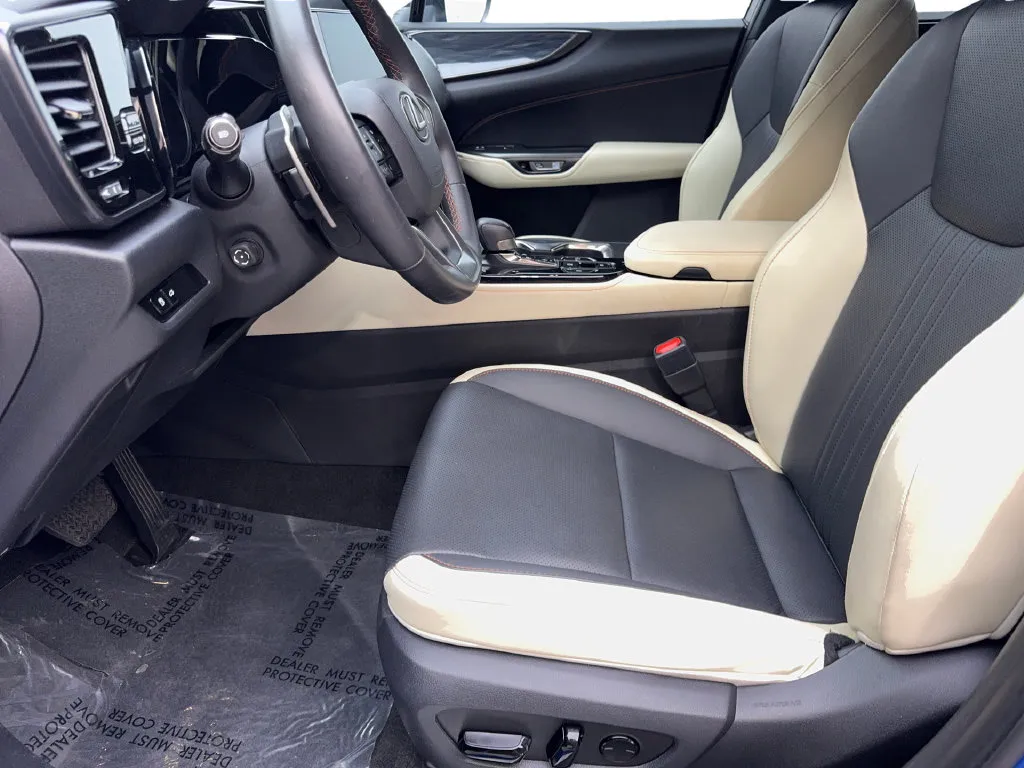 Lexus NX photo 28